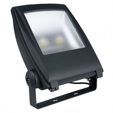 Showtec Floodlight LED 100W IP65 6500K