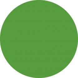 Farve ark - farve 139 - primær grøn 53 x 122cm